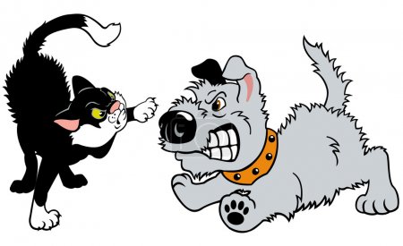 Cat and Dog Fighting